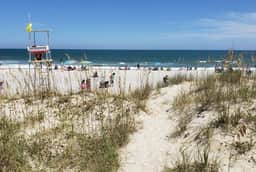 NF1004B: Blueberry Bungalow - Image 5
