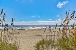 WC2B3: Winds II B3: Shore Beats Work - Image 3