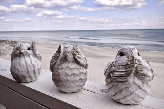 OD805: Three Little Birds - Image 1