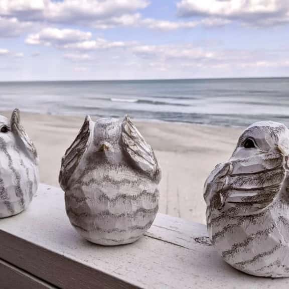 OD805: Three Little Birds - Image 1