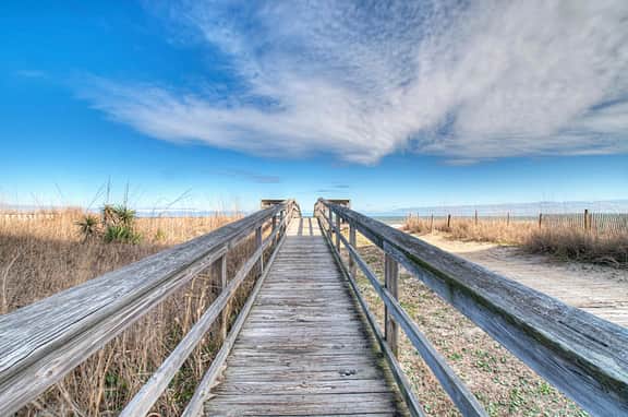PW201: Pelican Watch 201 - Image 3